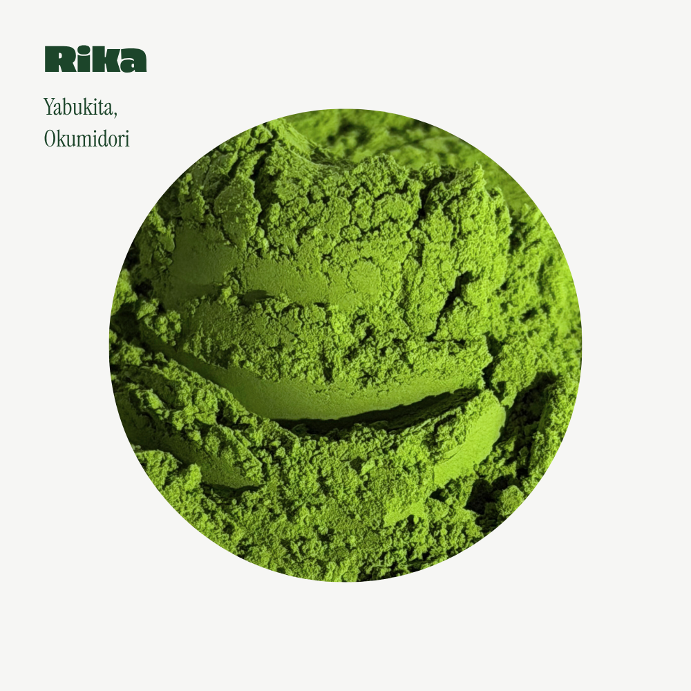 Rika Matcha Powder (Ceremonial Grade)